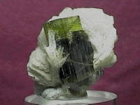 Minerals Tee