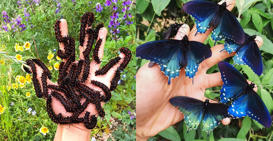 Why would we ever need to be protected by butterflies?